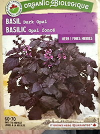 Basil - Dark Opal