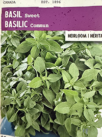 Basil - Sweet